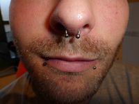 Piercing Gehrden Septum